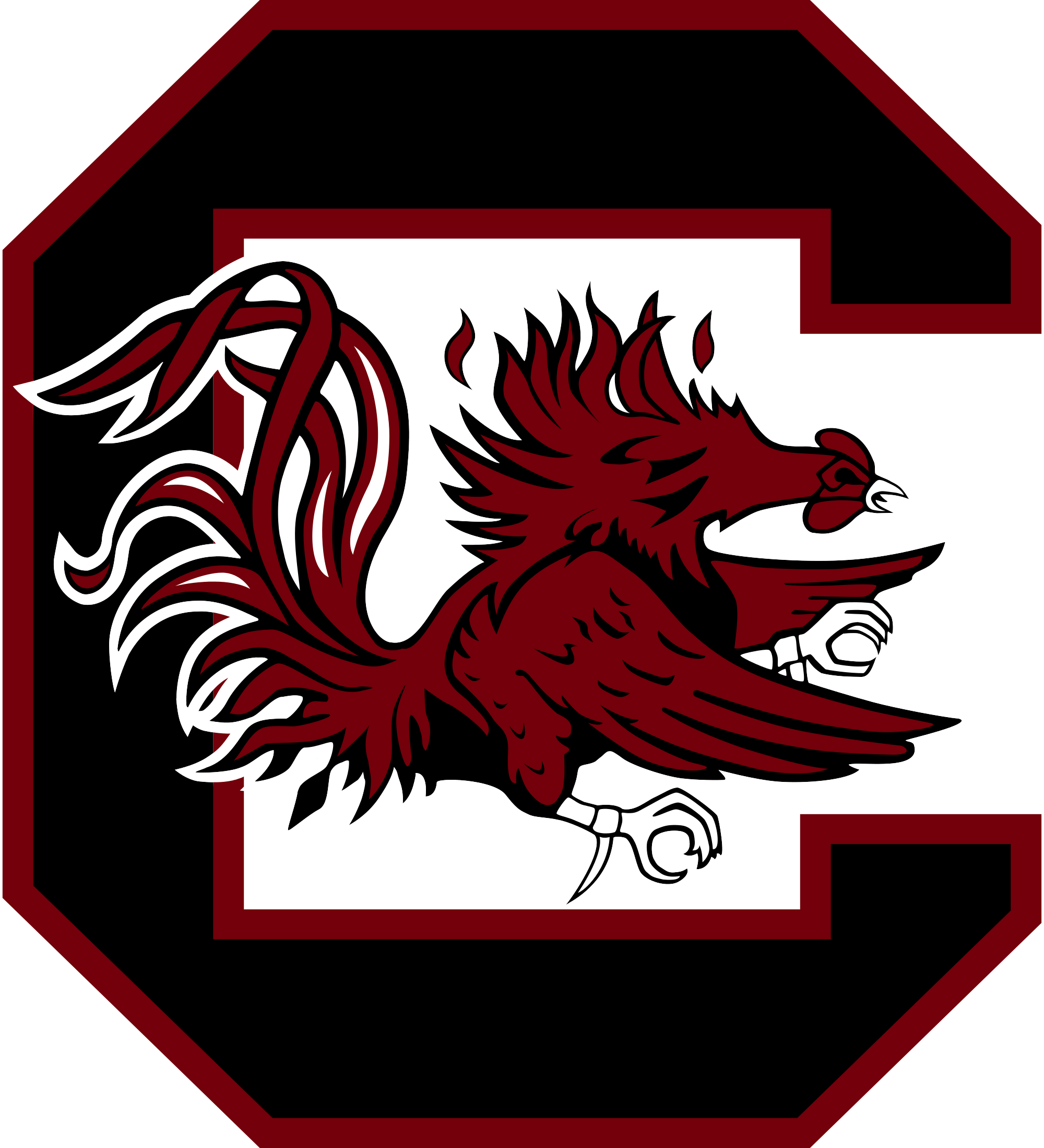 University of South Carolina
